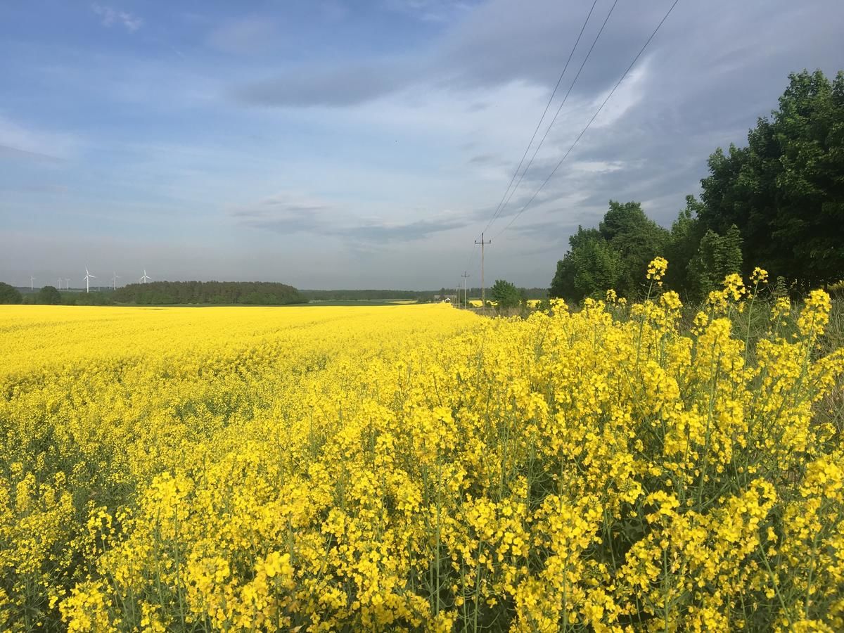 Дома для отпуска Las, woda i przygoda Choczewo-40